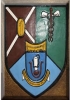 University of Calabar Teaching Hospital (UCTH) logo