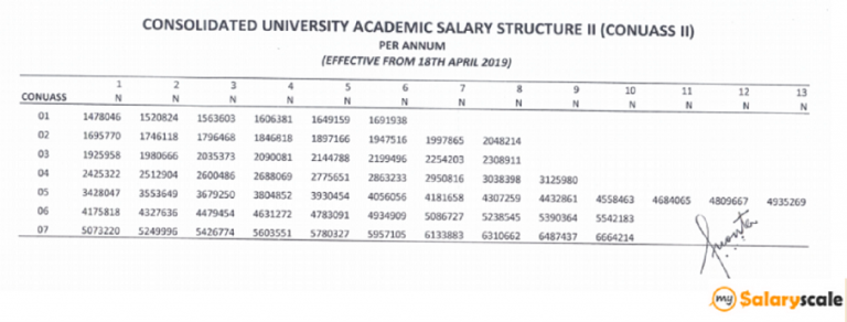 NIGERIA NATIONAL PARK SERVICE SALARY SCALE visual data 8