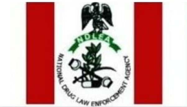 National Drug Law Enforcement Agency (NDLEA) Salary Structure