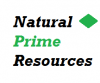 Natural Prime Resources Nigeria (NPRNL) logo