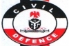 Nigeria Security and Civil Defence Corps (NSCDC) logo