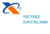 Setbiz Datalinks Concept logo