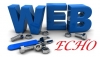 Web Echo Nigeria logo